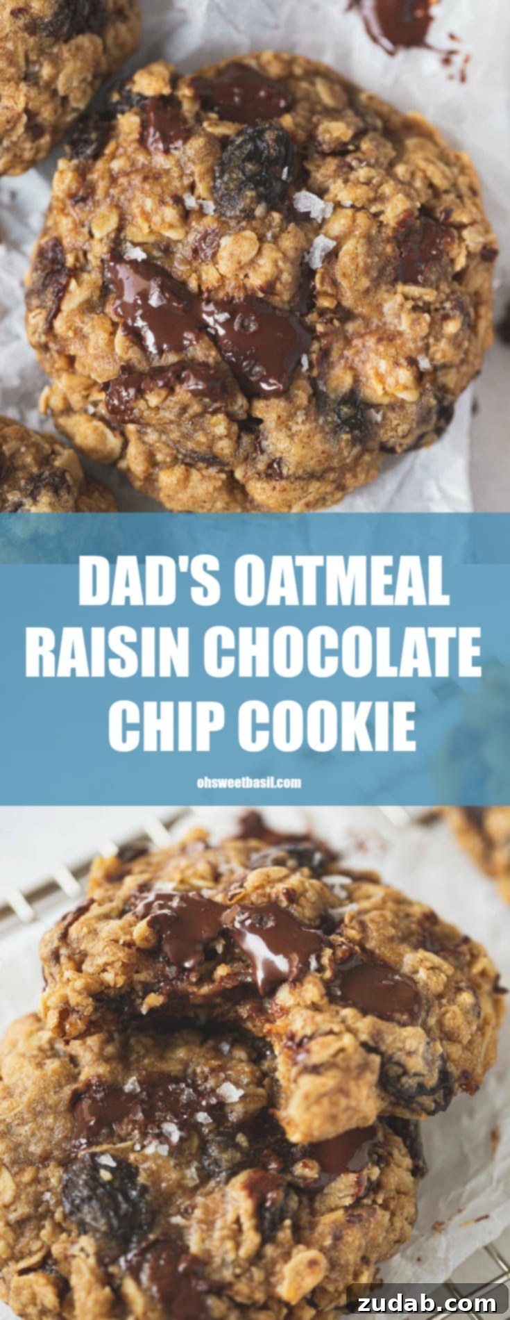 Dads Comforting Oatmeal Chocolate Chip Raisin Cookies 3 A warm, inviting oatmeal raisin chocolate chip cookie, rich with melted chocolate and plump raisins, promising a delicious bite.