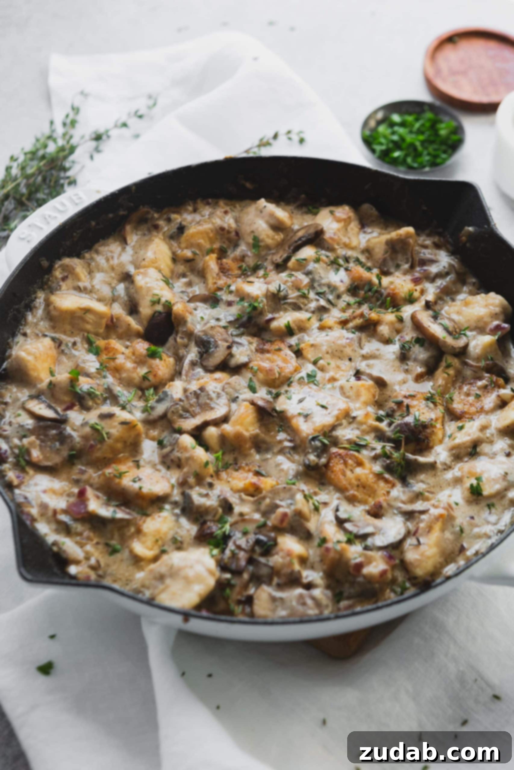 Creamy Chicken Stroganoff Chicken stroganoff in a Dutch Oven. The chunks of chicken are mixed in a creamy sauce with mushrooms and herbs.