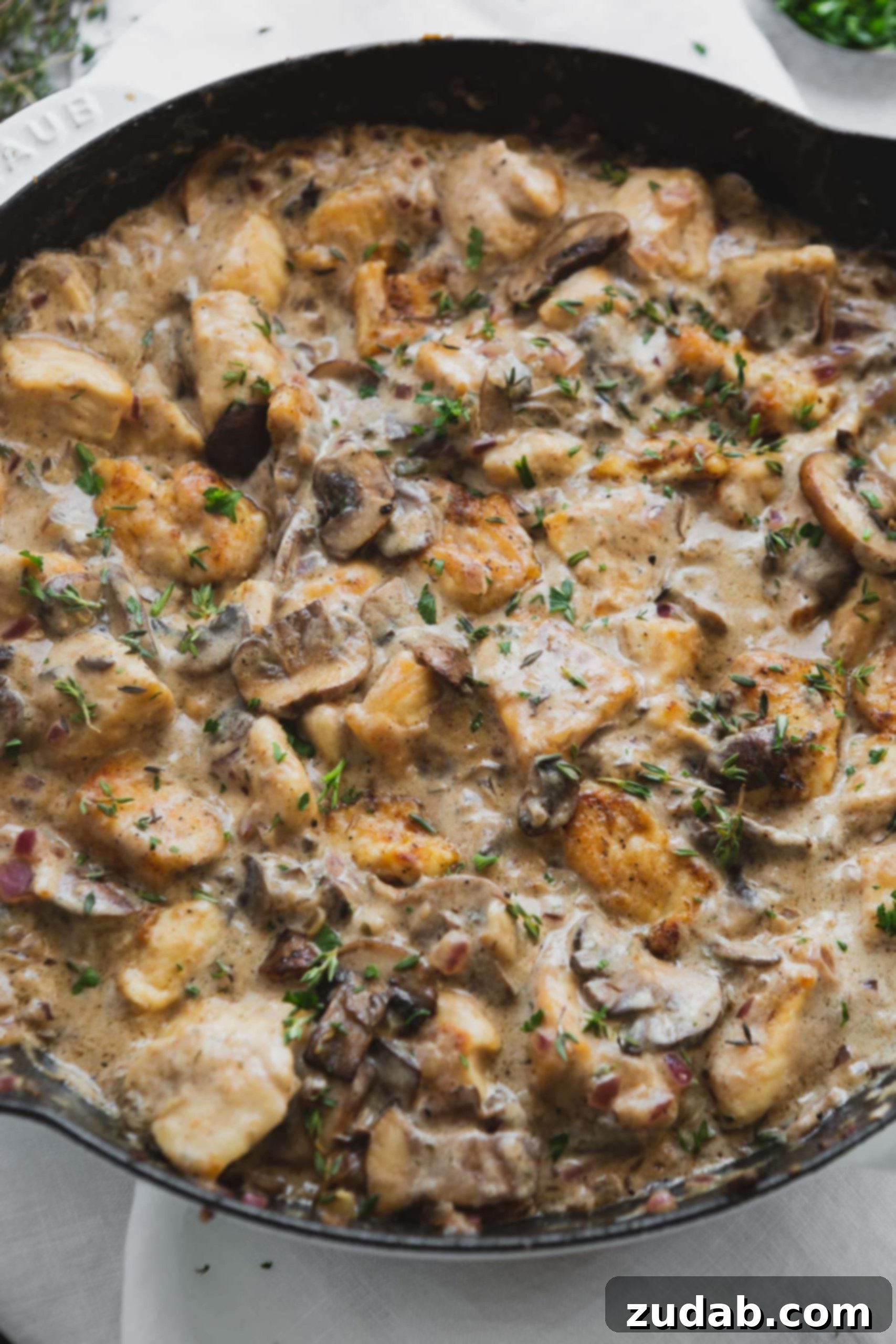 Creamy Chicken Stroganoff A close up of chicken stroganoff. There are chunks of chicken in a rich creamy sauce with mushrooms and herbs.
