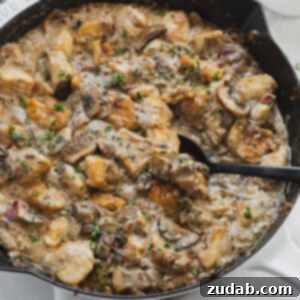 Velvety Chicken Stroganoff 2 Creamy Chicken Stroganoff