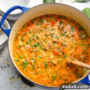 Hearty Slow Cooker Chicken Stew 6 Slow Cooker Chicken Stew