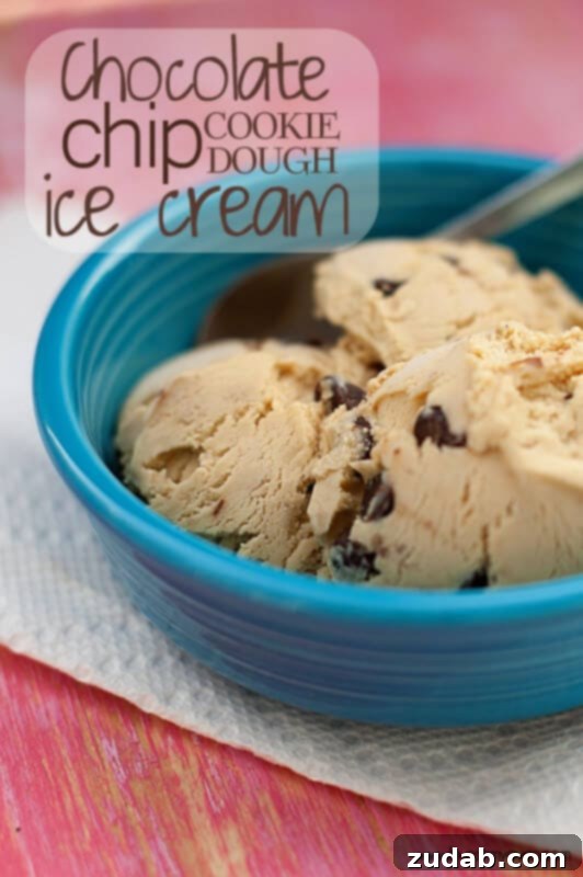 Decadent Chocolate Chip Cookie Dough Ice Cream