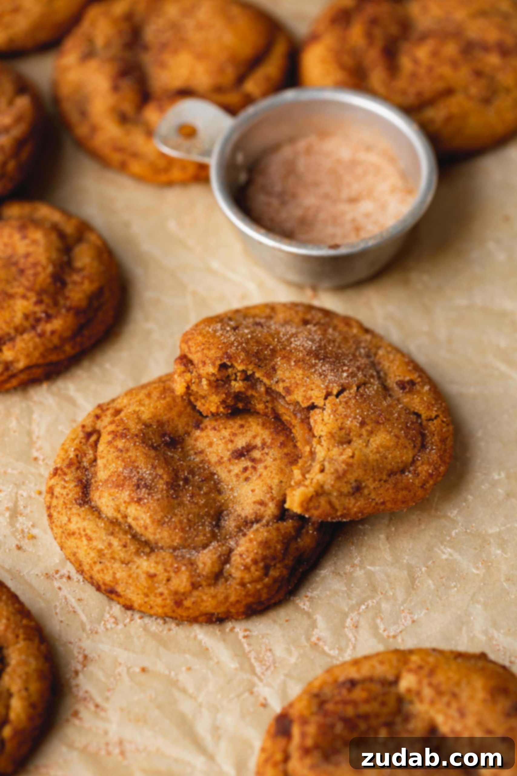 The Best Chewy Pumpkin Cookies I Ever Ate Two chewy pumpkin cookies stacked on top of each other. The cookie on top has a bite taken out of it and there is another cookie and a container of cinnamon sugar in the background.