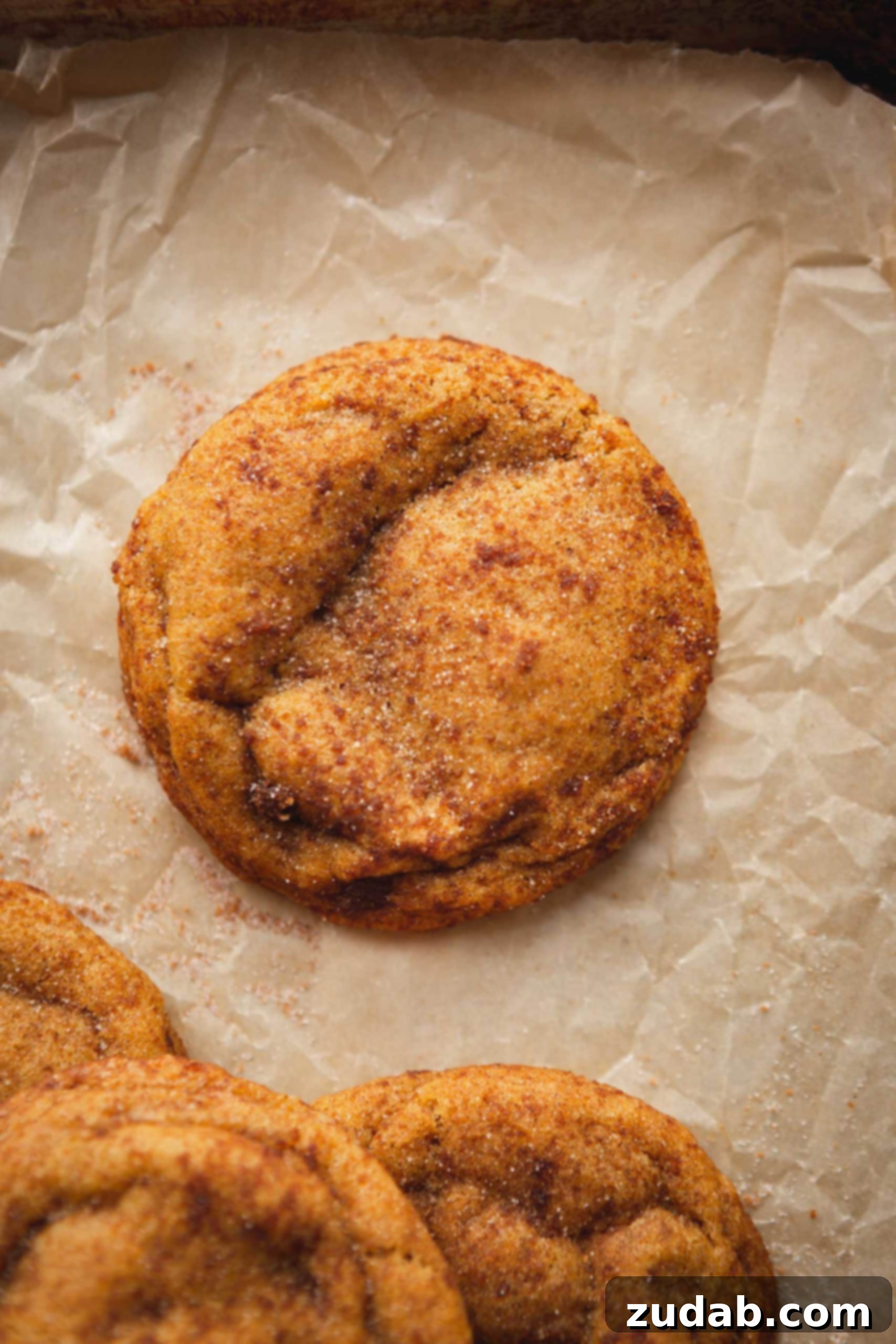 The Best Chewy Pumpkin Cookies I Ever Ate A chewy pumpkin cookie. It is baked to a golden brown and topped with brown sugar and cinnamon.