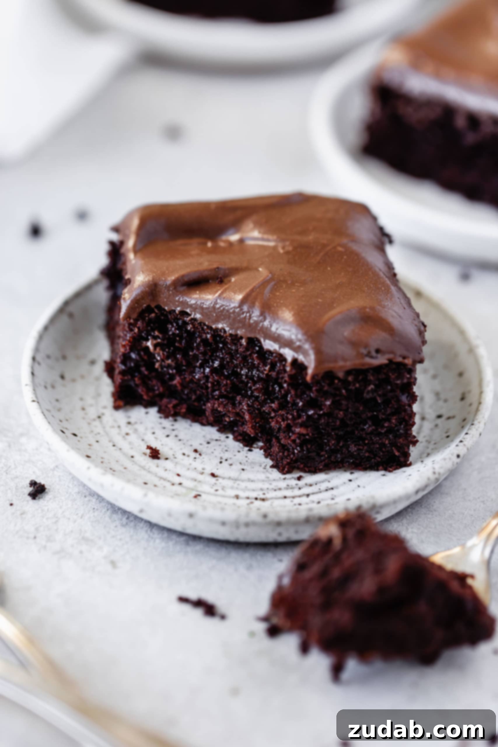 Moist Chocolate Mayonnaise Cake A piece of chocolate mayonnaise cake that has a bite taken out of it. It is frosted with chocolate cream cheese frosting. Other servings of cake are in the background.