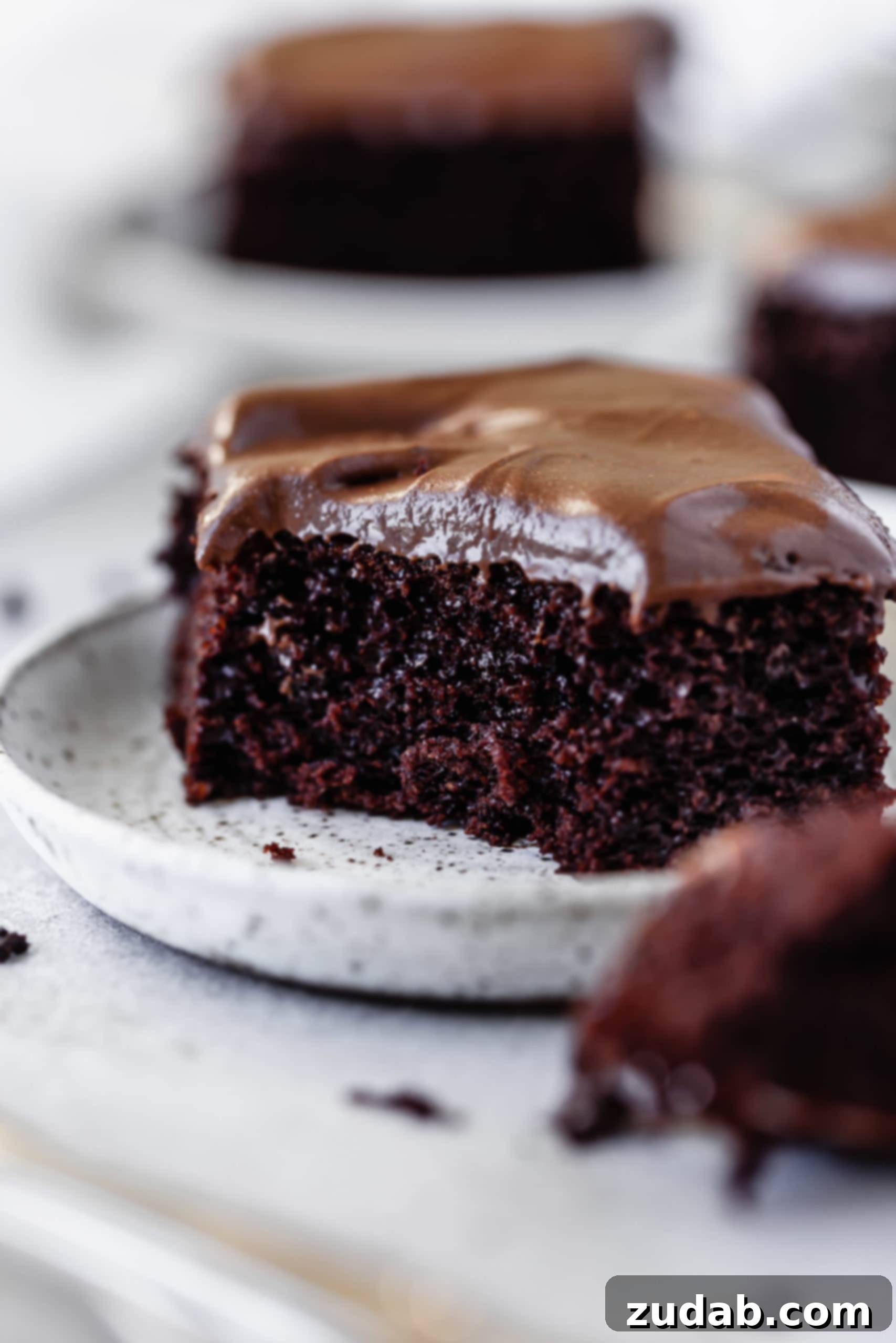 Best Chocolate Mayonnaise Cake Recipe A piece of chocolate mayonnaise cake with chocolate cream cheese frosting. A fork full has been cut off and the fork with cake on it is next to the plate.