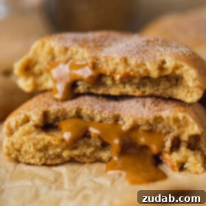 Biscoff-Filled Snickerdoodle Cookies 2 Biscoff Stuffed Snickerdoodle Cookies