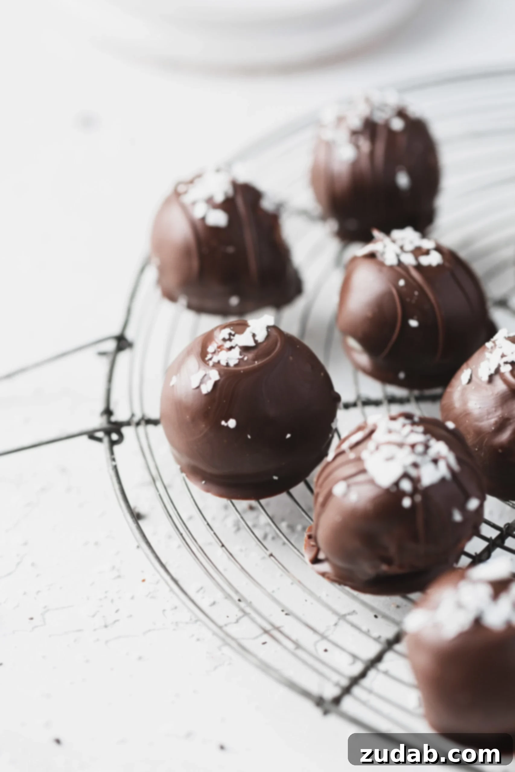 Chocolate Covered Coconut Balls Six chocolate covered coconut balls on a wire rack. The coconut balls have a few coconut flakes sprinkled on top of the chocolate.