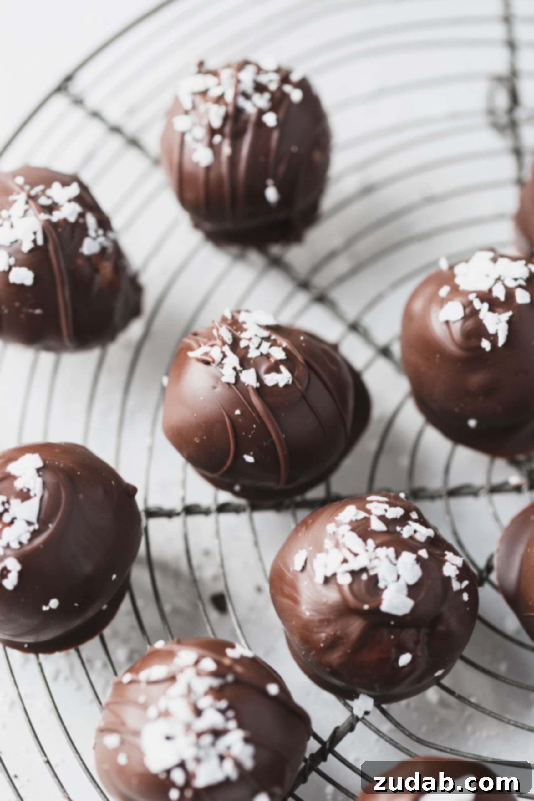 Chocolate Covered Coconut Balls A close up picture of chocolate covered coconut balls. The candy is sprinkled with a few coconut flakes.
