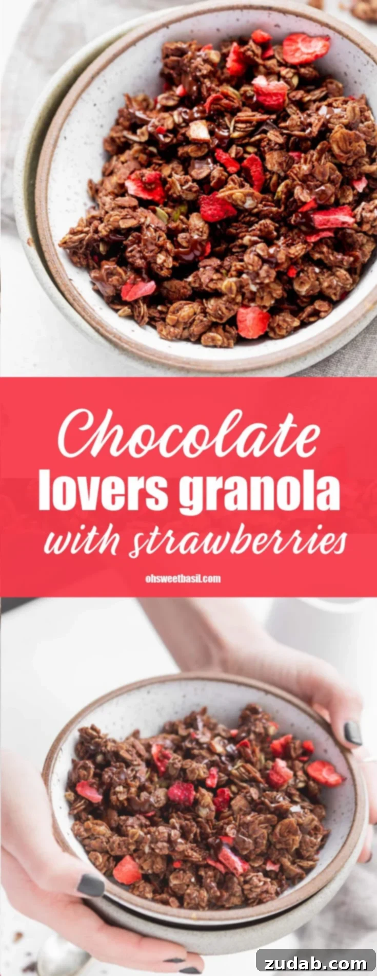 Chocoberry Dream Granola 3 A bowl of chocolate lovers granola with strawberries. You can see the chunks of oats coated in chocolate and the red strawberries.