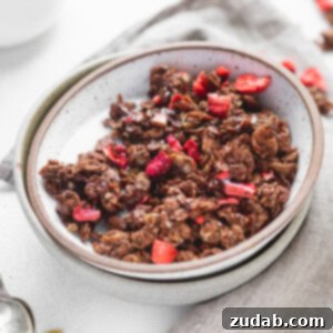 Chocoberry Dream Granola 2 Chocolate Lovers Granola With Strawberries