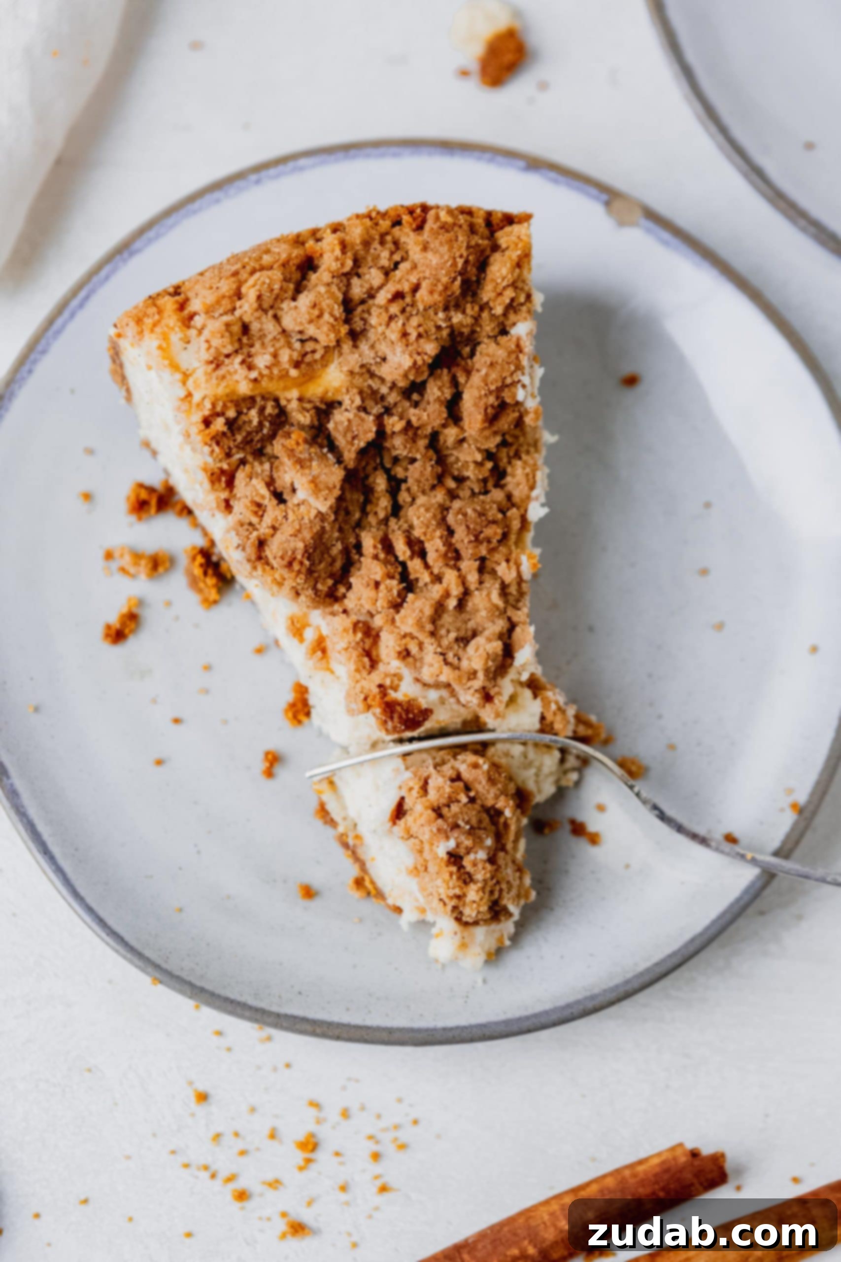 Biscoff Snickerdoodle Cookie Explosion Cheesecake A slice of biscoff snickerdoodle cheese cake on a white dessert plate. The cheesecake has a snickerdoodle, cinnamony topping.