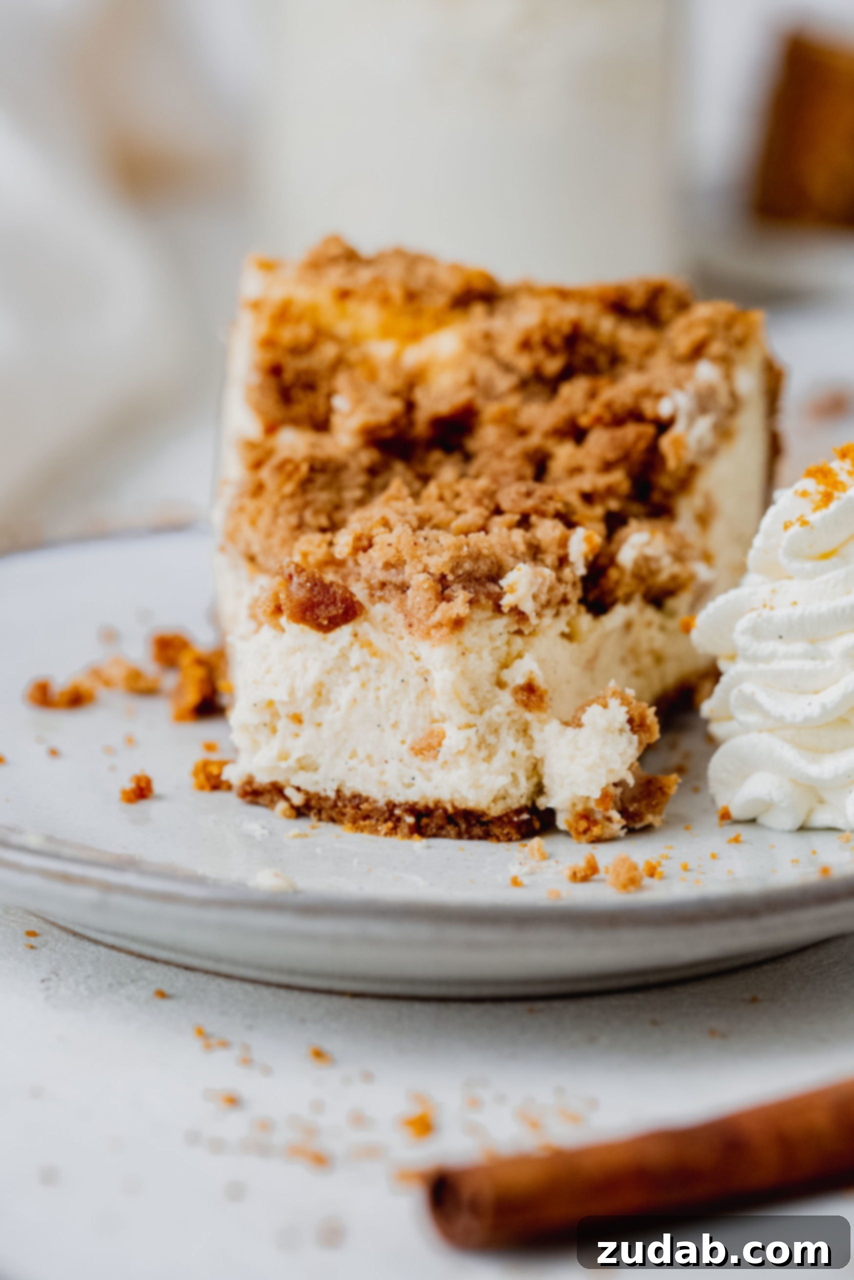 Biscoff Snickerdoodle Cookie Explosion Cheesecake A slice of biscoff snickerdoodle cheesecake with a dollop of whipped cream on a white dessert plate. The cheesecake is creamy and is topped with a cinnamon sugar snickerdoodle topping.