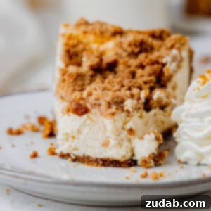 Biscoff Snickerdoodle Cookie Extravaganza Cheesecake 2 Biscoff Snickerdoodle Cookie Explosion Cheesecake