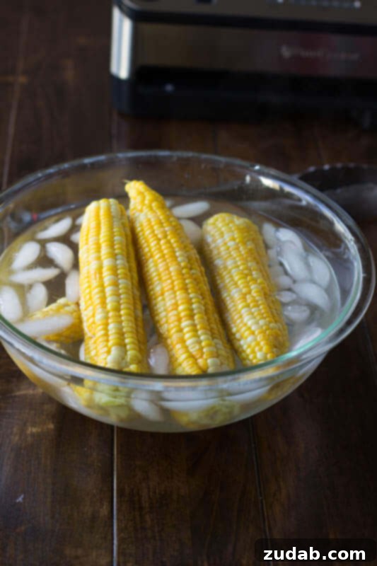 Cooling blanched corn quickly in an ice bath to maintain crispness. A glass bowl filled with blanched corn cobs immersed in ice water to stop the cooking process after boiling.