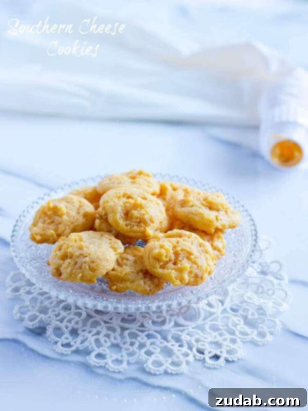 The Sudden Stop 4 Delicious Southern Cheese Crackers, a savory snack or appetizer.
