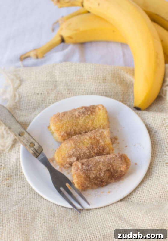 Homemade Copycat Tucanos Fried Bananas Recipe Tucanos-style fried bananas, golden brown and perfectly cooked, garnished for serving