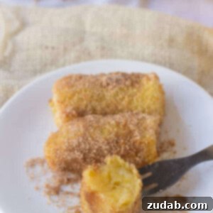 Golden Banana Bliss 3 Finished Tucanos-style fried bananas, perfectly golden and dusted with cinnamon sugar
