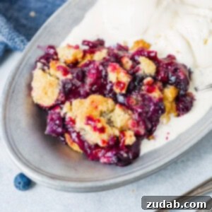 Summer Blueberry Cobbler