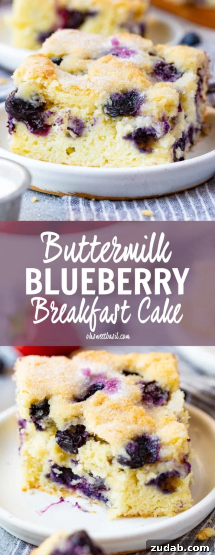 Buttermilk Blueberry Coffee Cake 6 A beautiful photo of a piece of buttermilk blueberry breakfast cake with a bite taken out of it, showcasing the soft texture and juicy blueberries.
