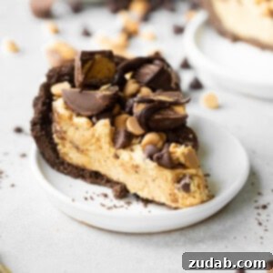 Peanut Butter Pie Perfection 2 img 79576 4