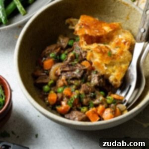 Enfes Dana Etli Kat Kat Börek 3 Savory Beef Pot Pie