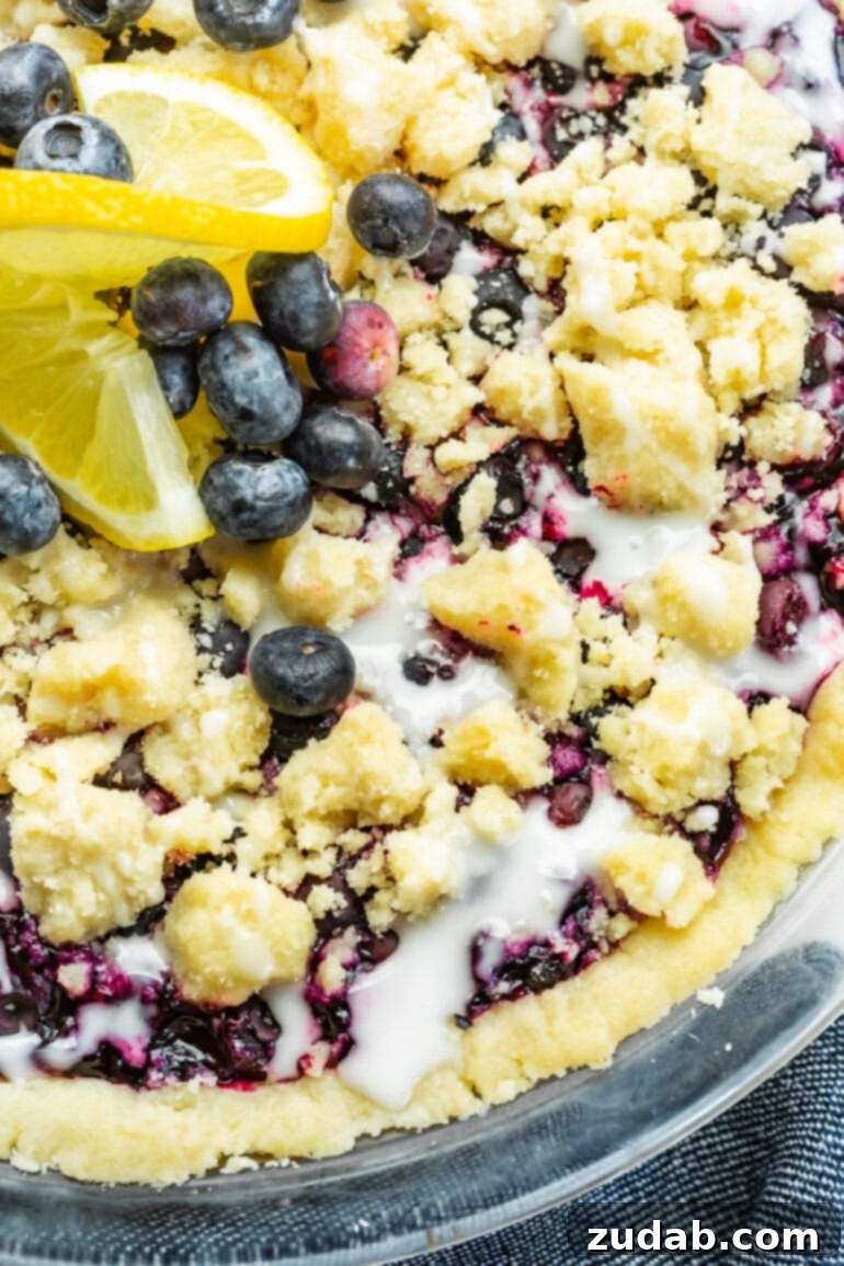 Wild Blueberry Shortbread Bliss 6 A close-up photo of a baked wild blueberry pie with a golden streusel topping, fresh whole blueberries sprinkled on top, and a creamy white glaze drizzled over.