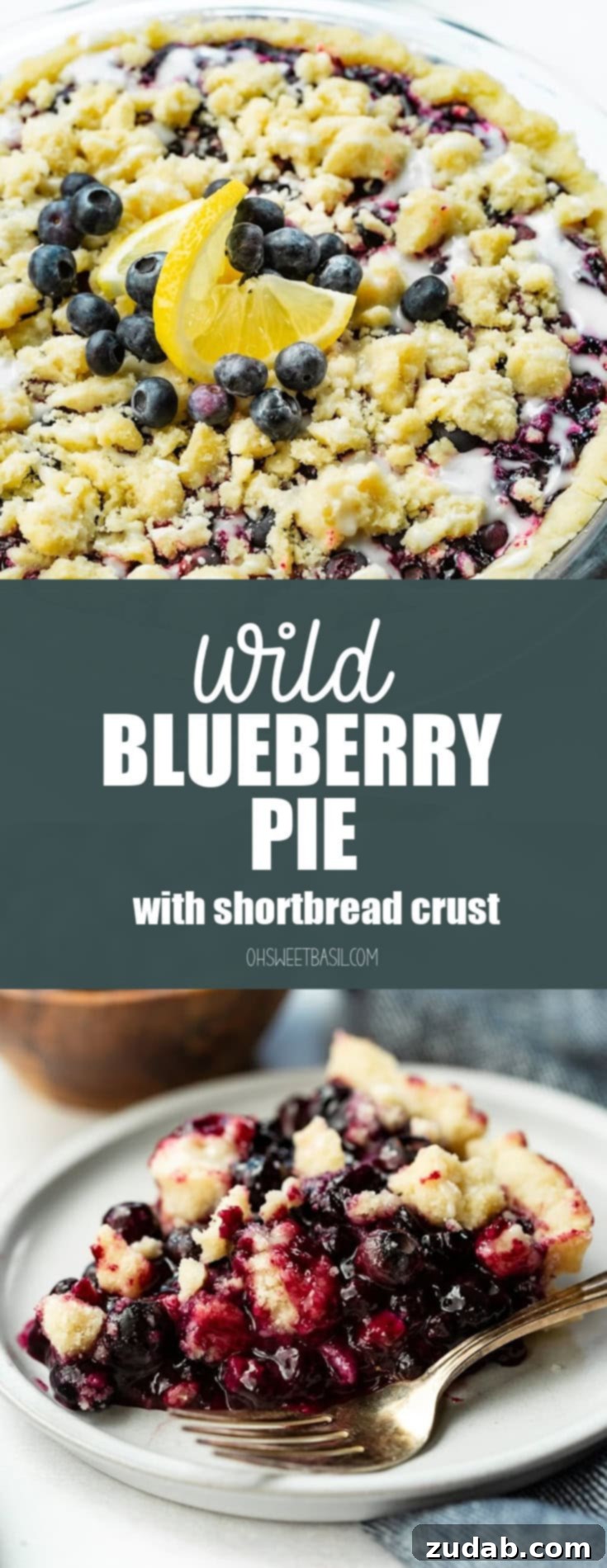 Wild Blueberry Shortbread Bliss 9 A high-angle photo of a whole baked wild blueberry pie in a shortbread crust with a streusel topping and a vanilla glaze, beautifully presented.