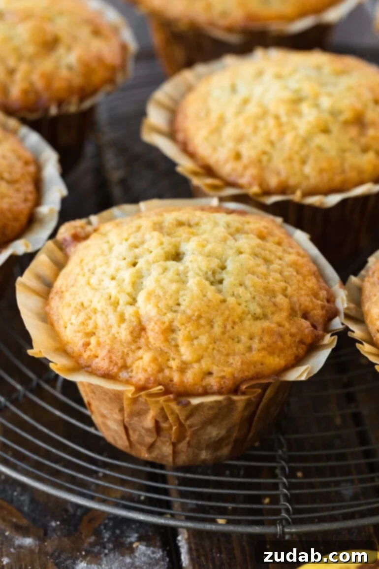 Effortless One-Bowl Banana Muffins 2 A freshly baked, golden-brown banana muffin rests in a crinkled paper liner, showcasing its inviting texture and appetizing dome. Perfect for an easy breakfast or snack.