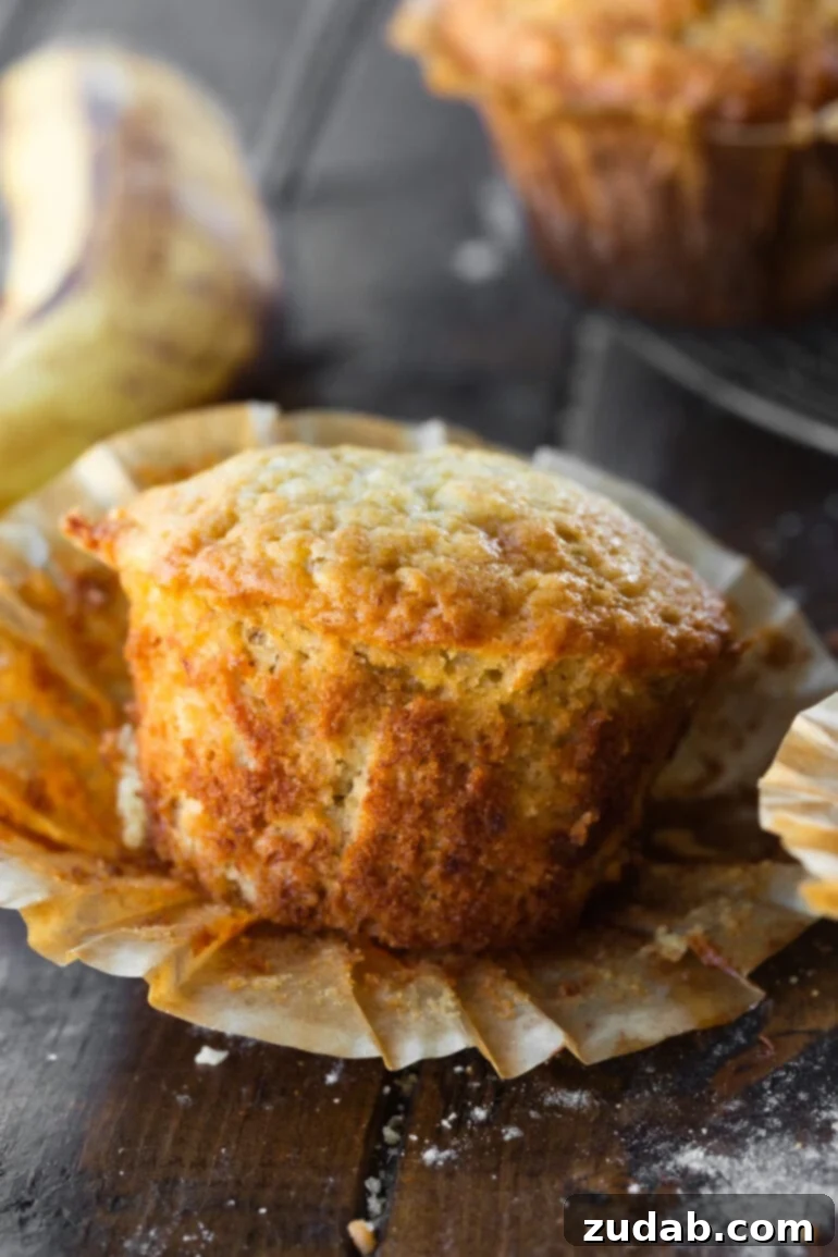 Effortless One-Bowl Banana Muffins 3 A golden banana muffin with its paper wrapper gracefully peeled down, revealing its soft, moist interior and beautifully textured side. A testament to perfect baking.