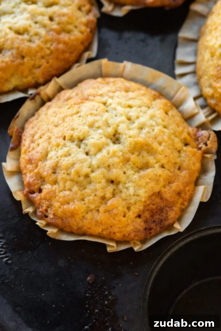 Effortless One-Bowl Banana Muffins 4 A close-up aerial shot of a perfectly golden-baked banana bread muffin, highlighting its fluffy texture and inviting aroma.