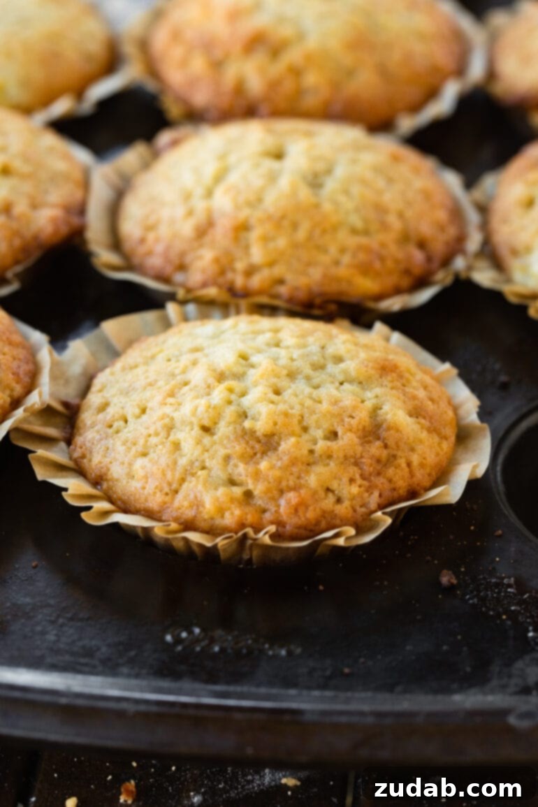 Effortless One-Bowl Banana Muffins 6 A beautifully baked golden banana muffin, with its liner partially peeled, sits in the foreground, with several other delicious muffins blurring in the background.