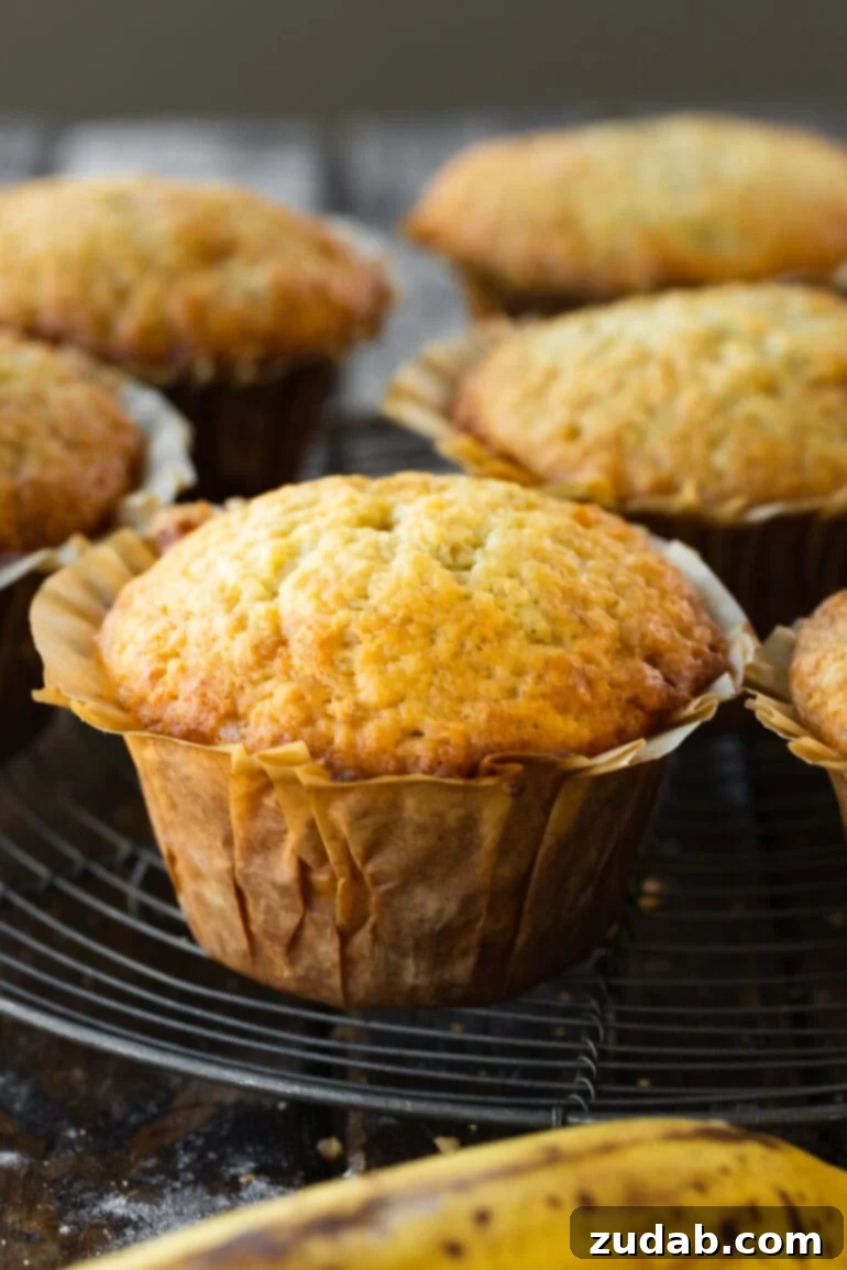 Effortless One-Bowl Banana Muffins 7 A close-up shot of a single baked banana muffin, perfectly domed and golden, nestled in its paper muffin liner, ready to be enjoyed.