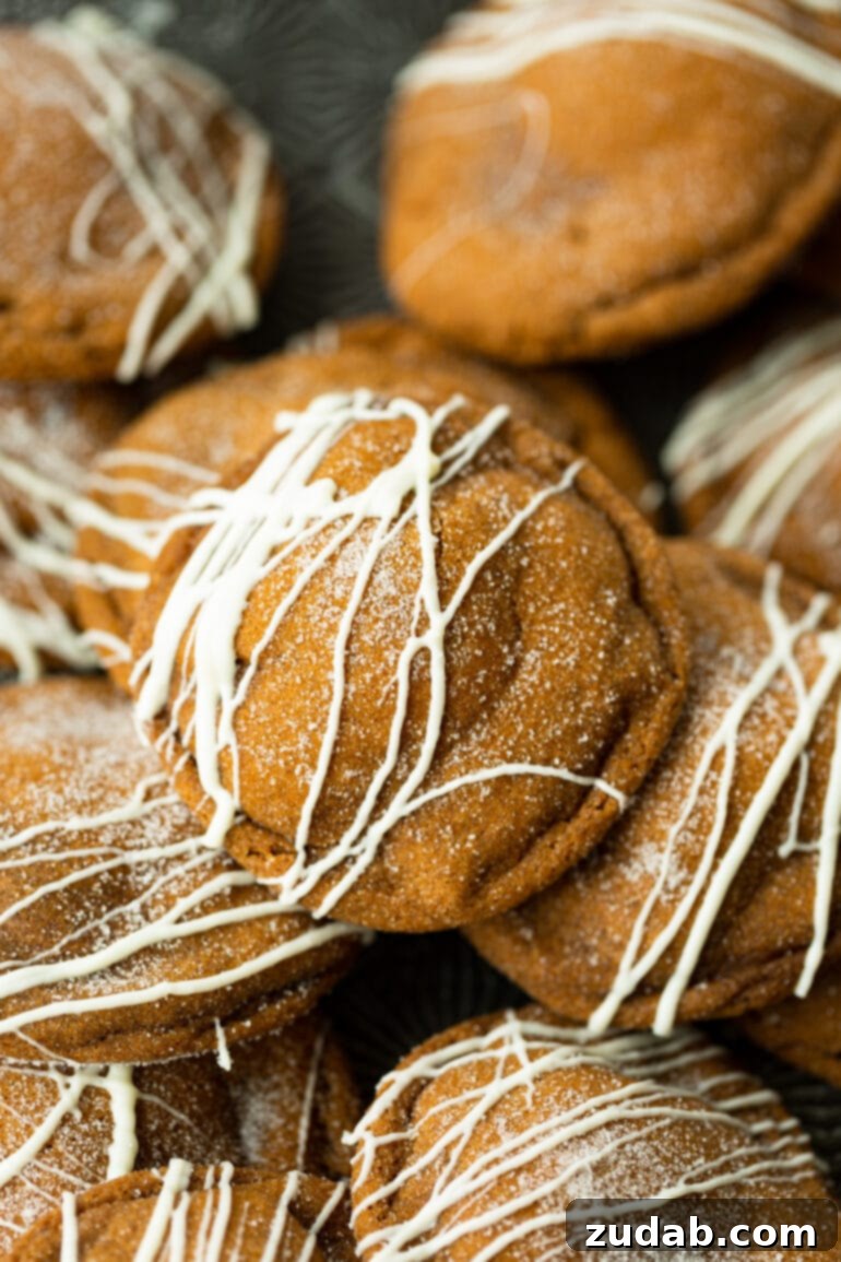 Festive Cookie Collection 6 A thick and chewy molasses cookie with a signature crackly top, coated in white sugar and elegantly drizzled with white chocolate, offering a unique twist on a classic.