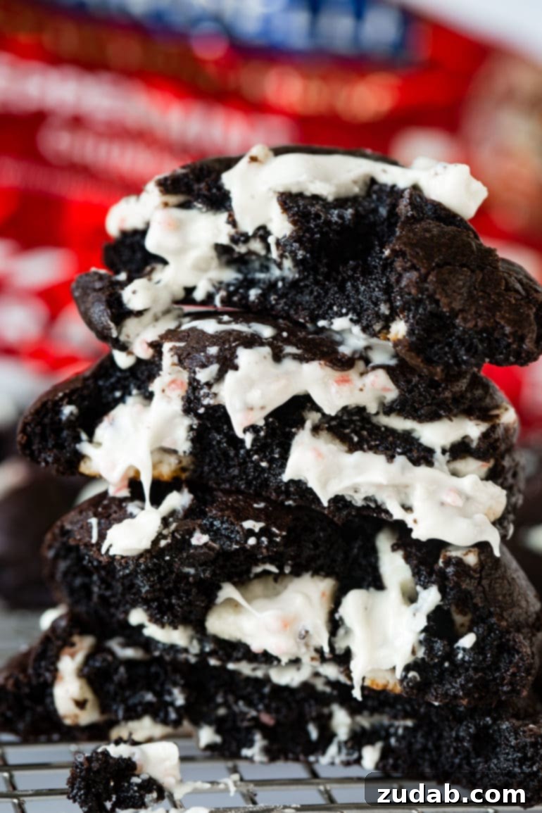 Festive Cookie Collection 9 A comforting stack of warm dark chocolate peppermint cookies resting on a cooling rack, showcasing their rich color and inviting texture.