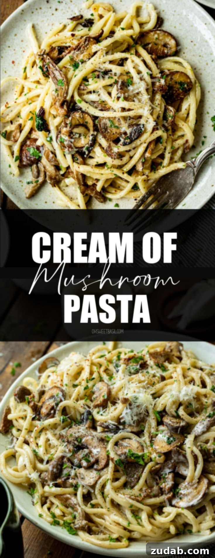 Velvety Creamy Mushroom Pasta 9 a photo of creamy bucatini pasta tossed with golden caramelized mushrooms and topped with grated parmesan.