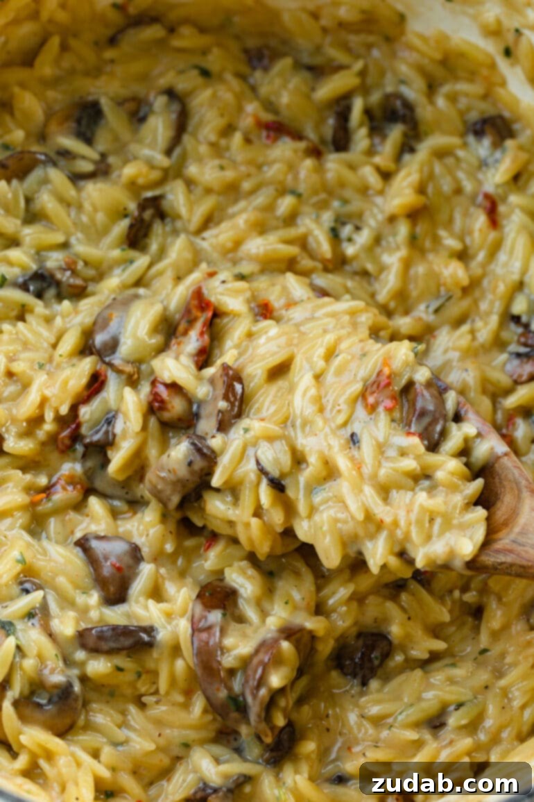 Golden Baked Chicken Meatballs and Orzo 7 A photo of a spoonful of creamy mushroom orzo being lifted from a pot of the creamy pasta, ready to be served.