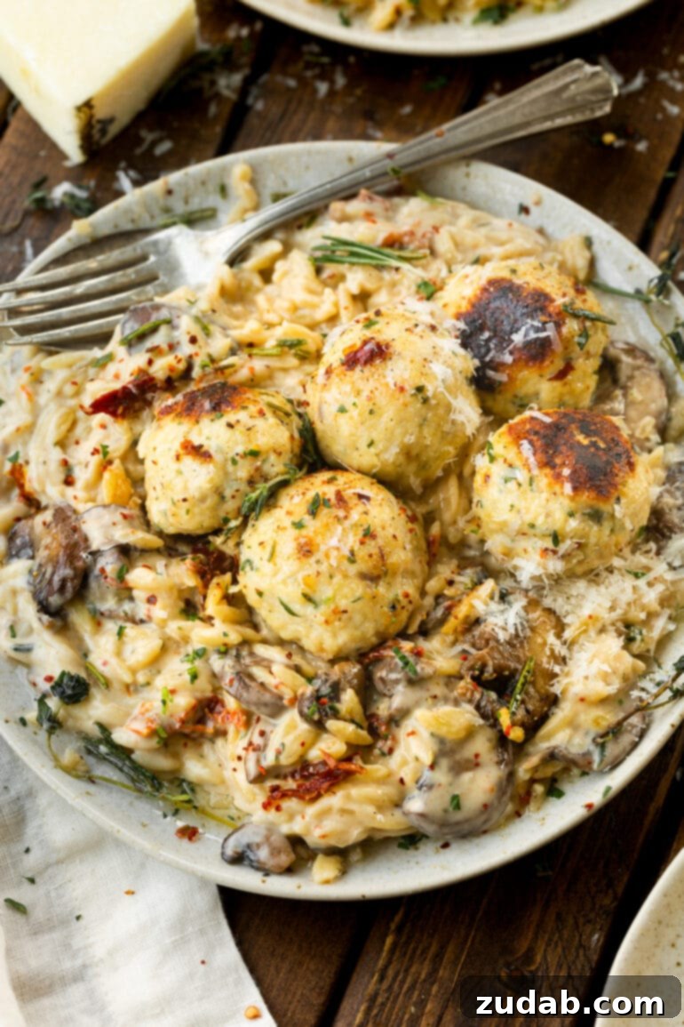 Golden Baked Chicken Meatballs and Orzo 8 A photo of a plate full of creamy mushroom orzo topped with golden baked chicken meatballs, ready for serving.