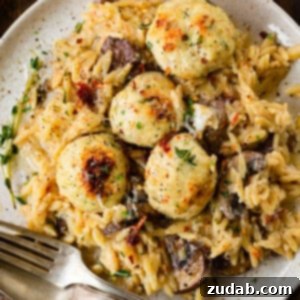 Golden Baked Chicken Meatballs and Orzo 9 Baked Chicken Meatballs and Orzo