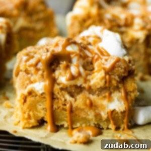 Biscoff Crumb Bars