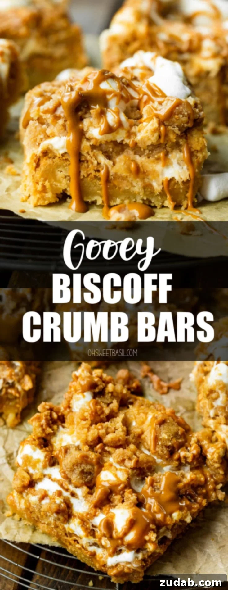 Ultimate Gooey Biscoff Crumb Bars 13 A photo of a Biscoff crumb bar sitting on a torn piece of parchment paper so you can see the cross-section of a thick cookie base topped with melted marshmallows and crumb topping drizzled with cookie butter