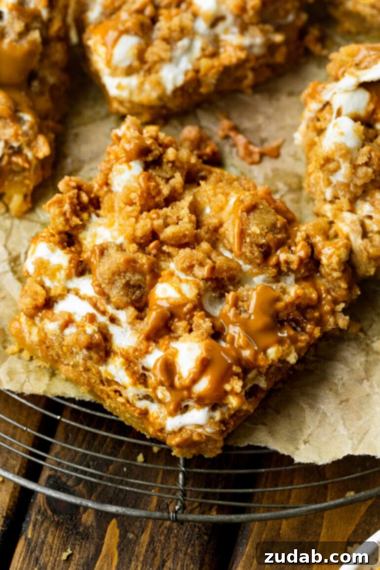 Ultimate Gooey Biscoff Crumb Bars 3 A photo of a rich and gooey Biscoff crumb bar, generously topped with melted marshmallows and a delightful crumb topping.