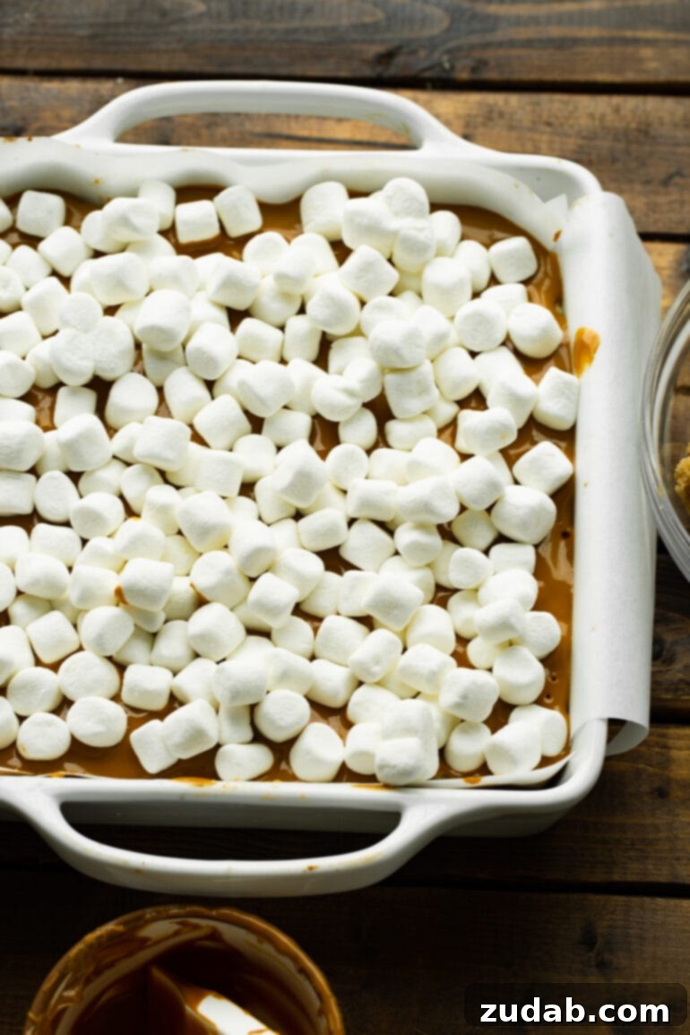 Ultimate Gooey Biscoff Crumb Bars 9 A photo of Biscoff crumb bars, featuring a layer of Biscoff spread generously topped with mini marshmallows, ready for baking.