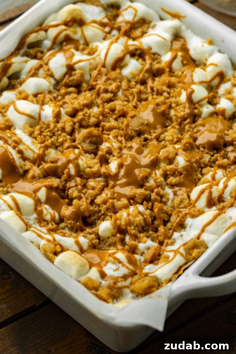 Ultimate Gooey Biscoff Crumb Bars 10 A photo of a square baking dish brimming with Biscoff crumb bars, exquisitely topped with melted marshmallows, a crunchy crumb, and a decadent drizzle of cookie butter.