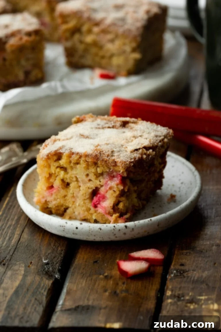 Sweet and Tart Rhubarb Cake 2 A photo of a slice of moist rhubarb cake sitting on a small dessert plate, topped with a crunchy cinnamon sugar layer.