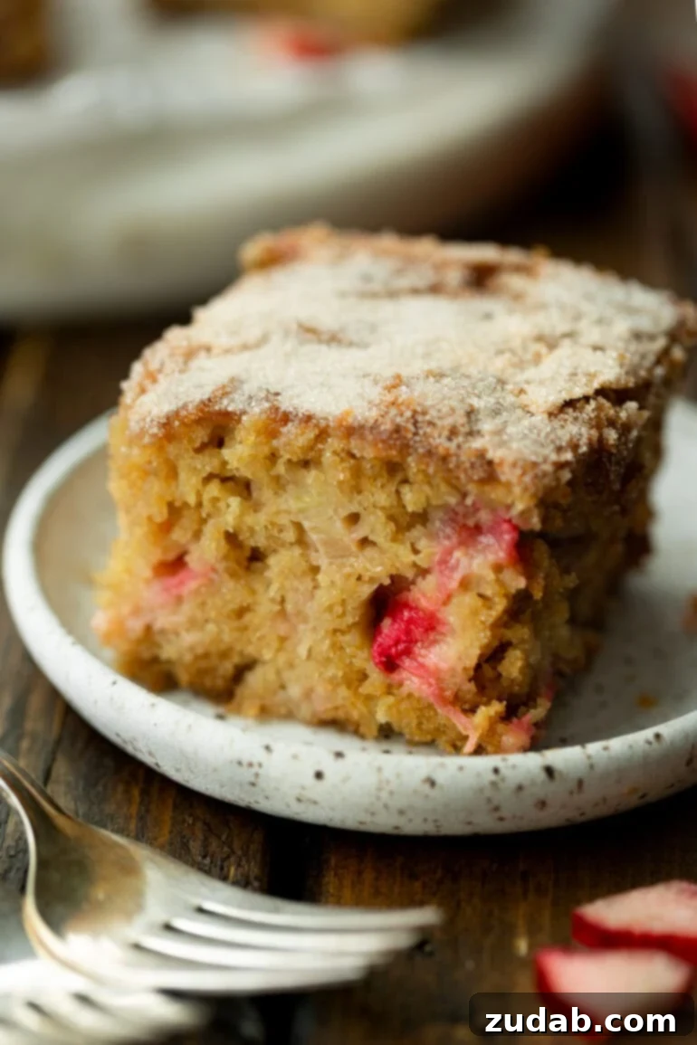 Sweet and Tart Rhubarb Cake 6 A photo of a piece of tender rhubarb cake topped with cinnamon sugar sitting on a small dessert plate.