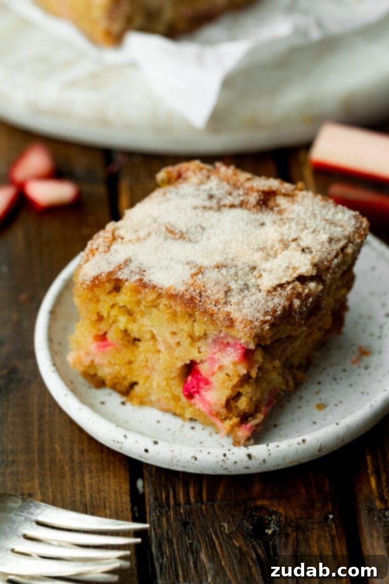 Sweet and Tart Rhubarb Cake 7 A photo of a piece of tender rhubarb cake topped with crunchy cinnamon sugar.