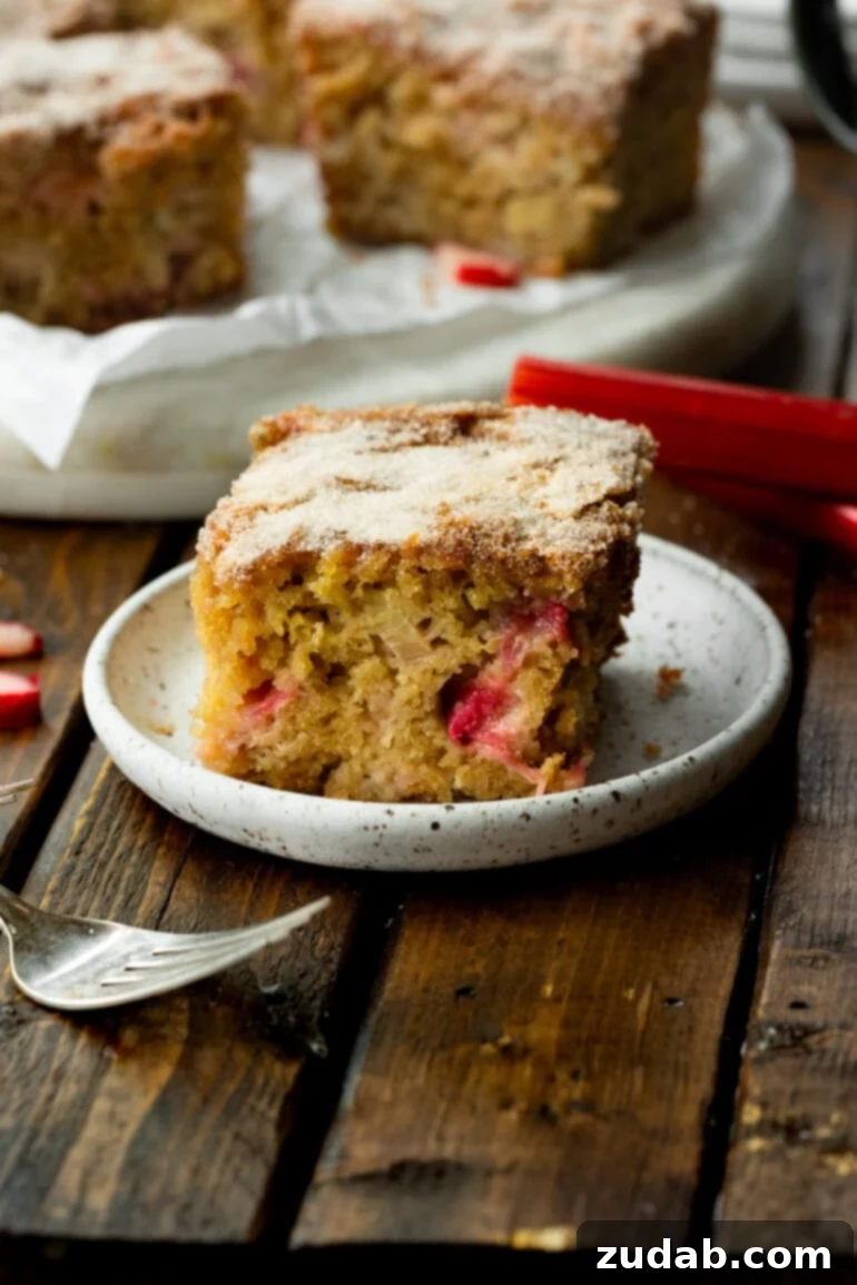 Sweet and Tart Rhubarb Cake 8 A photo of a piece of rhubarb cake on a small dessert plate.