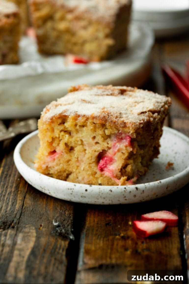 Sweet and Tart Rhubarb Cake 9 A photo of a piece of rhubarb cake loaded with chunks of tender rhubarb sitting on a small dessert plate.