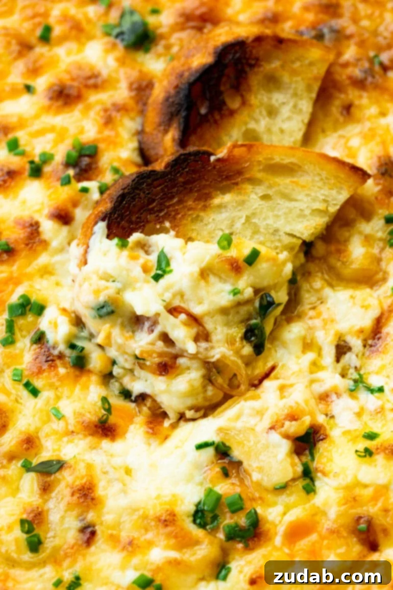 Golden Gooey Onion Cheese Dip 6 A toasted wedge of bread elegantly scooping up a generous portion of hot, creamy cheese onion dip.